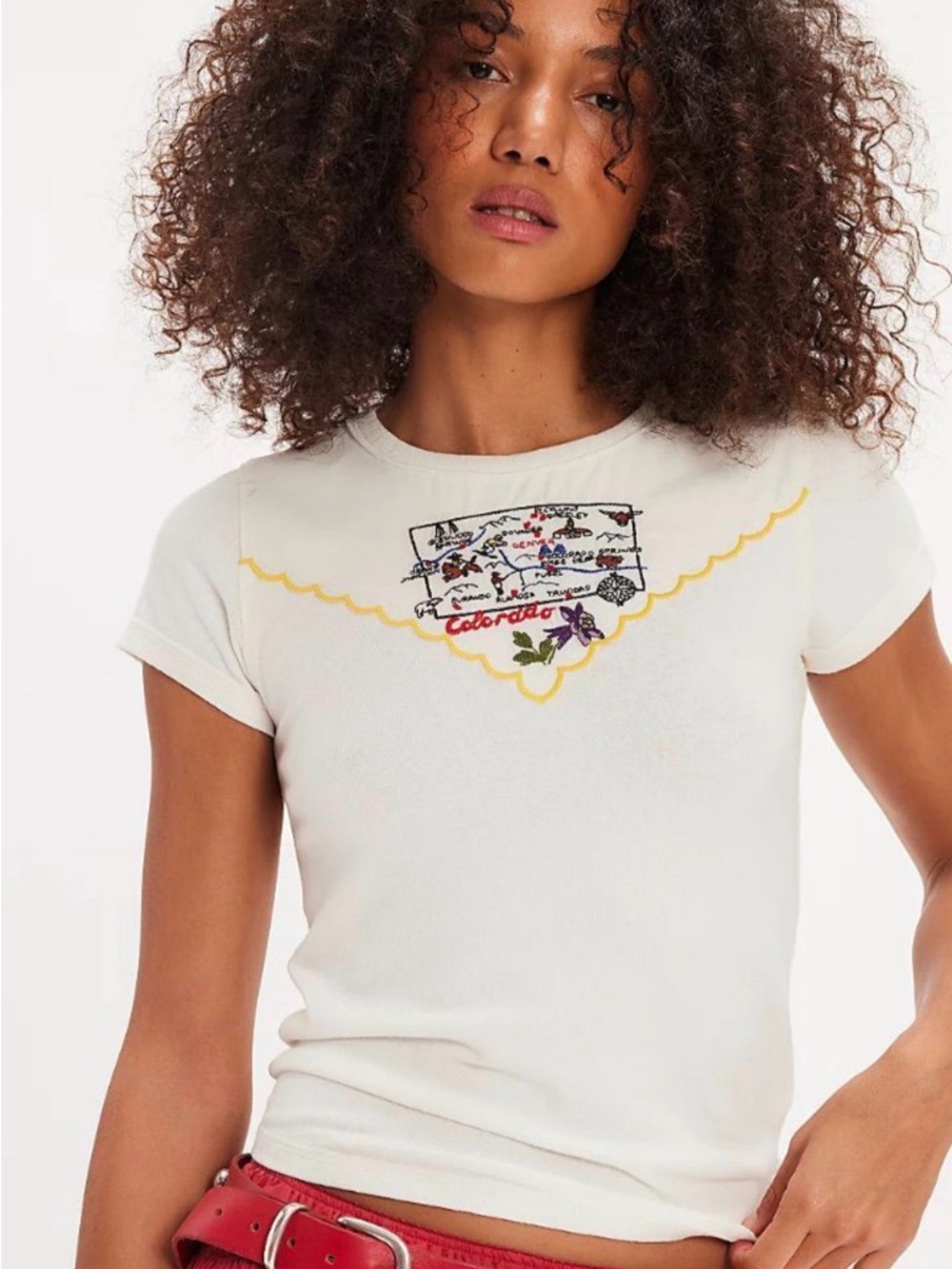 NWT We The Free Wild Country Tee